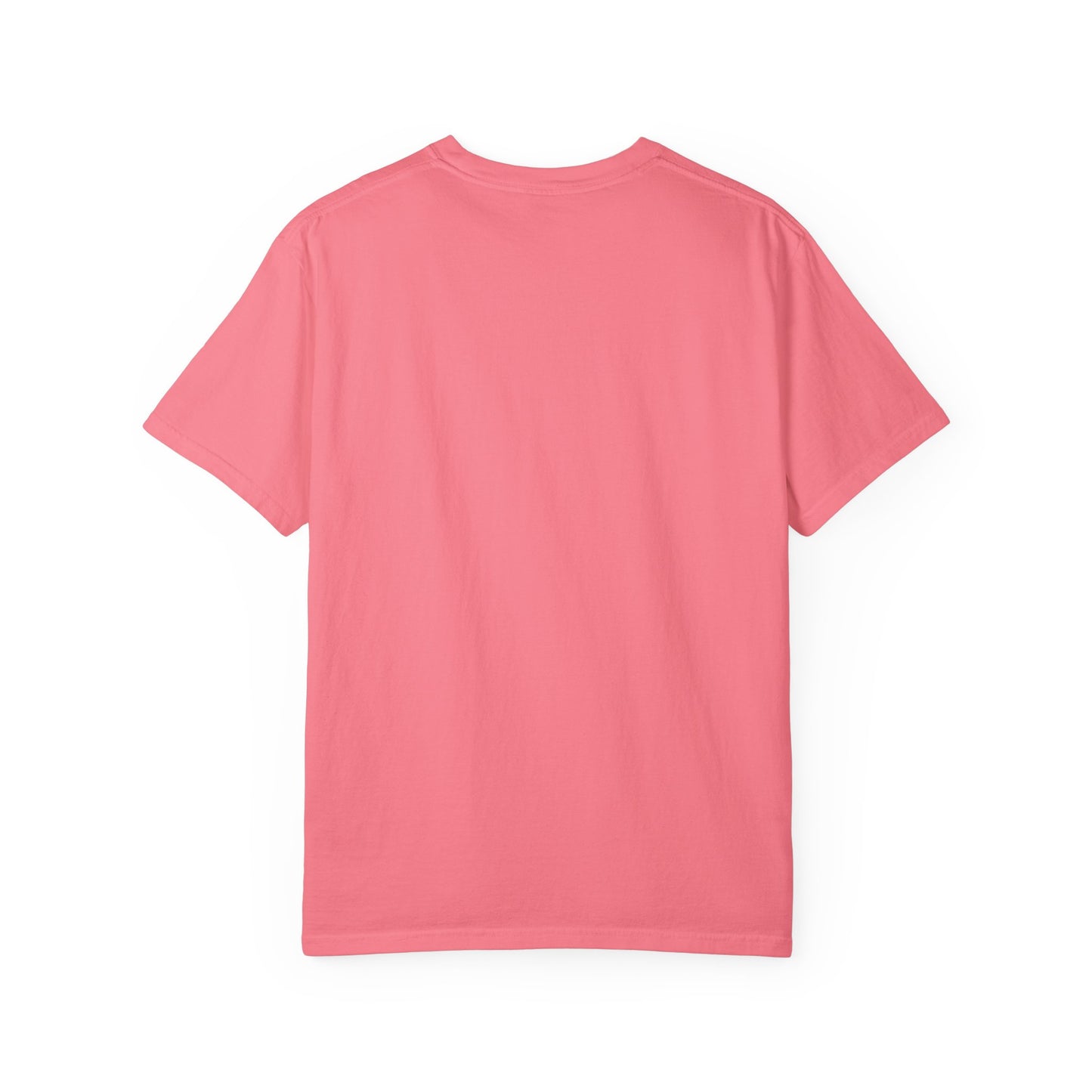 Seasoned Sisters Garment-Dyed T-shirt (Small Logo)